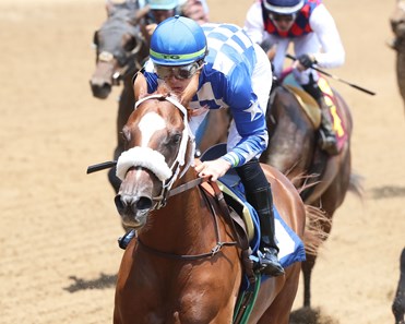 Anakarina - Horse Profile - BloodHorse