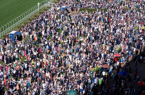 Mixed Results for Royal Ascot’s Television Ratings