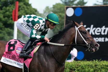 Grade 1 winner Cogburn, seen here winning the Jaipur Stakes at Saratoga Racecourse,  will try for a third straight win in the Ainsworth Turf Sprint Stakes at Kentucky Downs