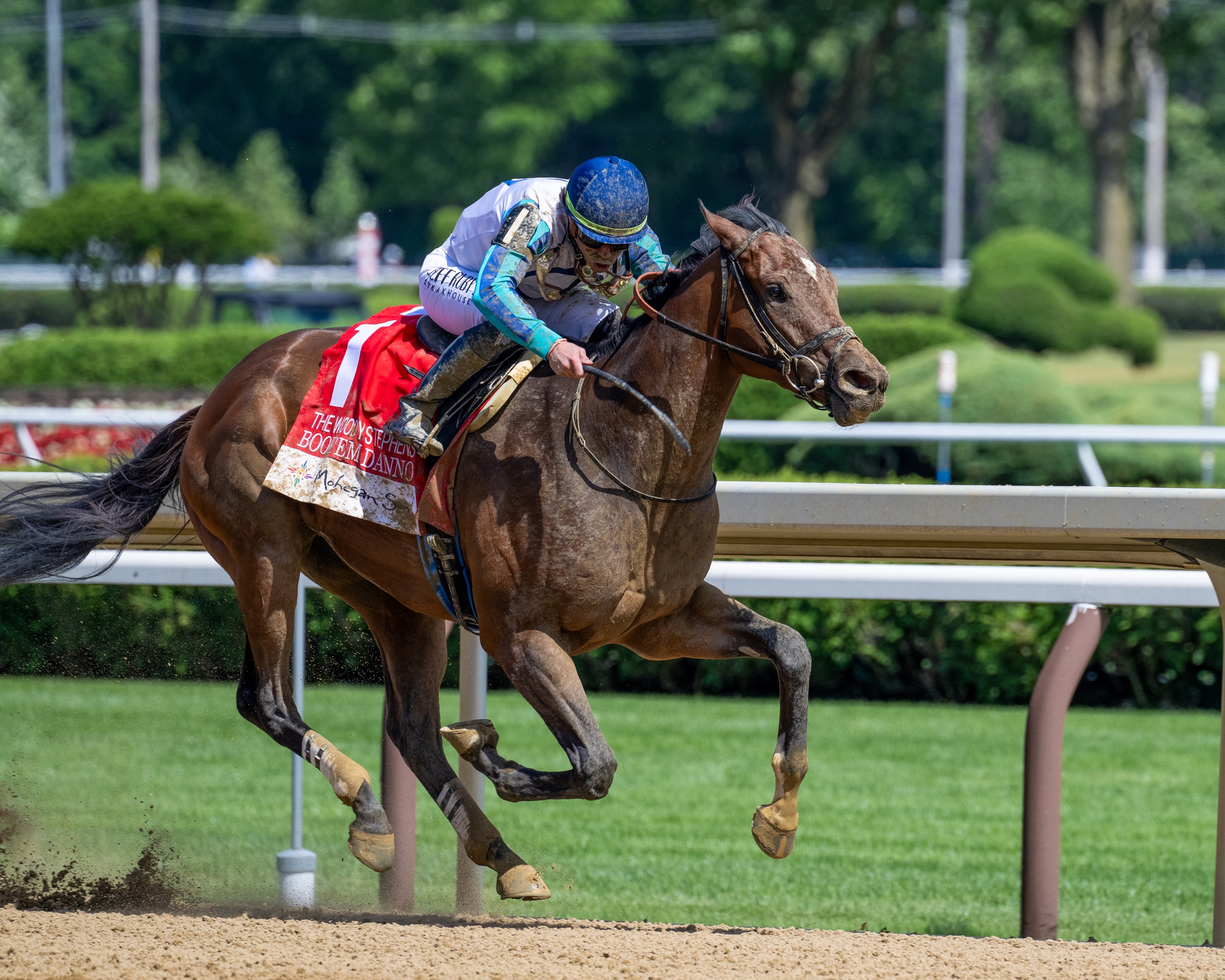 Jersey-Bred Book'em Danno Takes Woody Stephens - BloodHorse