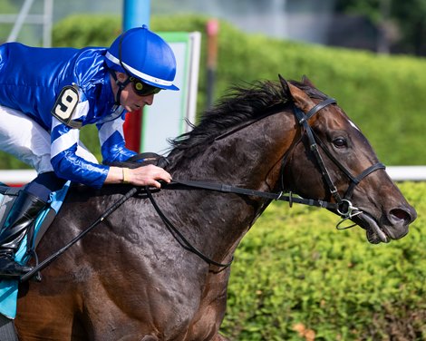 Measured Time Scores for Godolphin in Manhattan