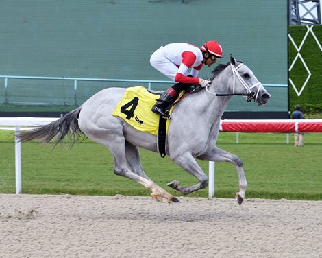 Shortly After Transplant, Owner Ramsey Turns to Horses