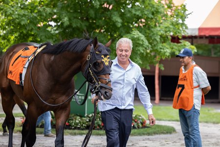 Trainer Wesley Ward leads Touchy in the paddock June 6 at Saratoga Race Course