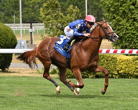 Neat a Stylish Winner of the Manila Stakes