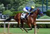 National Treasure wins the 2024 Metropolitan Handicap at Saratoga Race Course