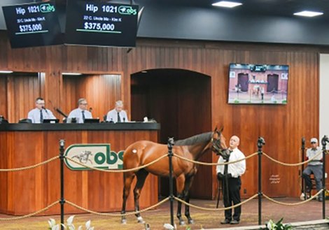 OBS June Sale Results Comparable to 2023