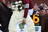 Dornoch wins the 2024 Belmont Stakes at Saratoga Race Course