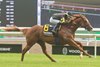 Jockey Kazushi Kimura guides Filo Di Arianna to victory in the $200,000 bet365 Highlander Stakes (Grade 2) for owner Gary Barber, Wachtel Stable and Peter Deutsch and trainer Mark Casse. Woodbine/ Michael Burns Photo