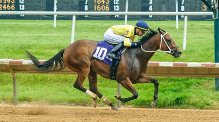 Alva Starr wins the Rehoboth Stakes at Delaware Park