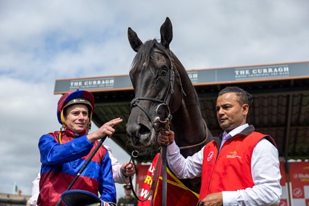 Los Angeles (IRE) - Horse Profile - BloodHorse
