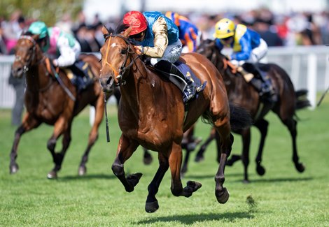 Haatem’s Jersey Stakes Caps Royal Meeting for Wathnan