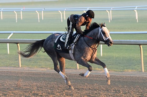 Classic Winner Seize the Grey Tops Pennsylvania Derby