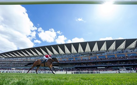 Racing at Ascot