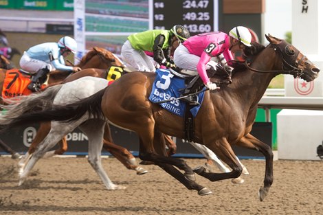 Palazzi Wins Four-Way Photo in the Eclipse Stakes