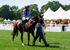 Illinois and Ryan Moore win the G2 Queens Vase, Royal Ascot, Ascot, UK, June 19th, 2024, Mathea Kelley
