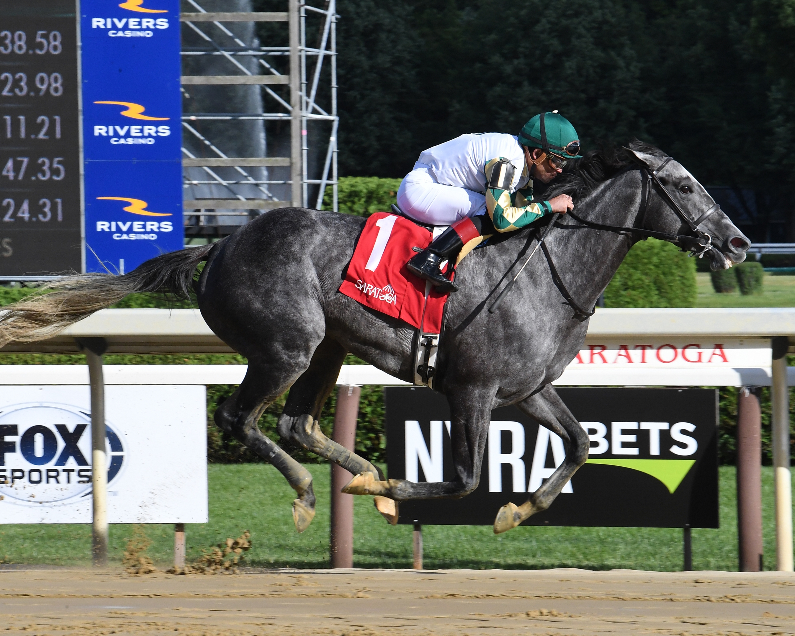 Silver Skillet - Horse Profile - BloodHorse
