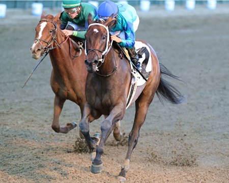 Our Pretty Woman defeats Intricate in the Monomoy Girl Overnight Stakes at Churchill Downs