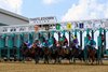 2024 Ohio Derby Day Scene, Thistledown