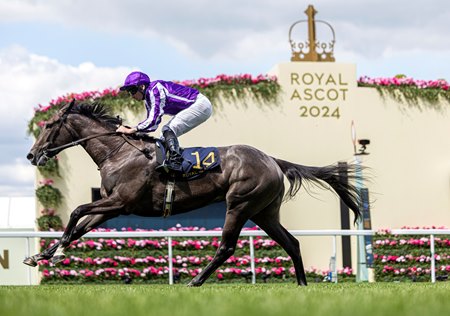 Bedtime Story wins the Chesham Stakes by 9 1/2 lengths at Ascot Racecourse