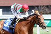 Vahva wins the Chicago Stakes on Saturday, June 22, 2024 at Churchill Downs