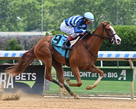 Complexion romps in her debut at Aqueduct Racetrack