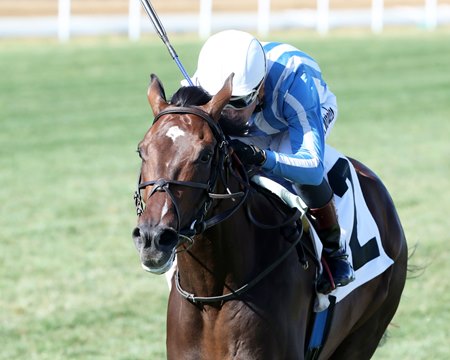 Herchee breaks his maiden at Churchill Downs