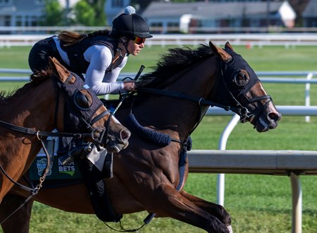 Dornoch works in company June 1 at Saratoga Race Course