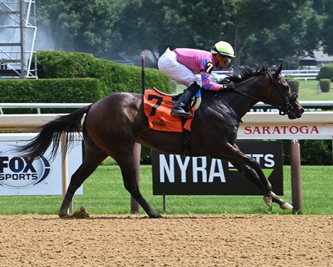 NY-Bred Bellacose Romps in Saratoga Debut - BloodHorse