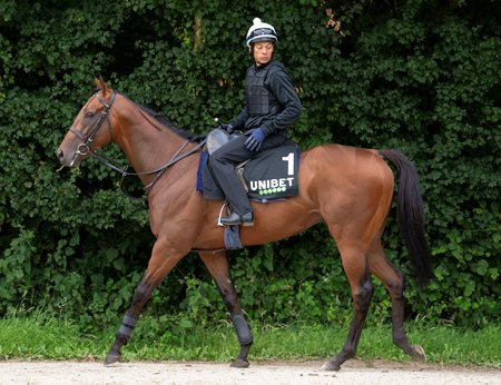 Rosallion during morning training at Richard Hannon's Herridge Stables