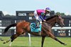 War Like Goddess with Junior Alvarado win the 26th Running of The Robert G. Dick Memorial Stakes (GIII) at Delaware Park on July 7, 2024. Photo By: Chad B. Harmon