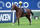 Goliath (Christophe Soumillon) wins the King George VI and Queen Elizabeth Stakes
Ascot 27.7.24 Pic: Edward Whitaker