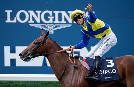 Goliath and Christophe Soumillon after winning the King George VI and Queen Elizabeth Stakes at Ascot 