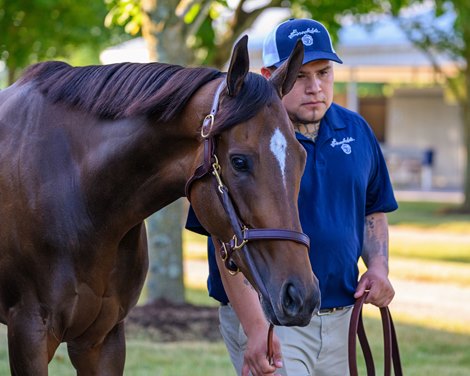 Fasig-Tipton July Horses of Racing Age Notebook