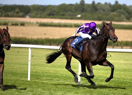 Henry Adams wins on first asking at Naas in Ireland