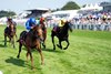 Notable Speech (William Buick) wins the Sussex Stakes
Glorious Goodwood 31.7.24 Pic: Edward Whitaker