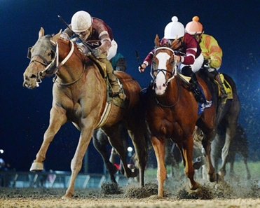 Red Route One (left) defeats stablemate Unload (right) in the 2024 Prairie Meadows Cornhusker Handicap at Prairie Meadows