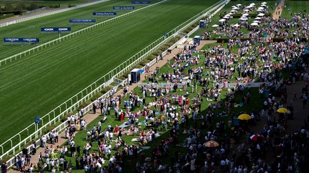 Fans at Ascot Racecourse