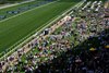 Racegoers spread out picnic blankets
Ascot 27.7.24 Pic: Edward Whitaker