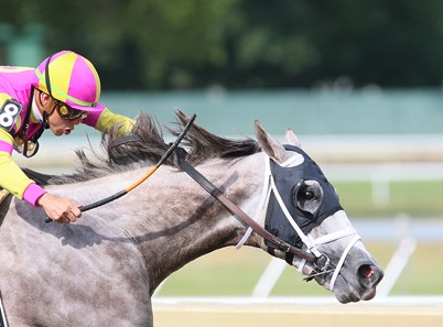 Talpit Raced Tapit Trice - Horse Profile - BloodHorse