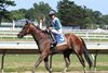 Book&#39;em Danno #3 with Samuel Marin riding won the $100,000 Jersey Shore Stakes at Monmouth Park Racetrack in Oceanport, NJ on Friday July 19, 2024.  Photo By Bill Denver/EQUI-PHOTO