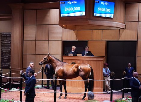 Trainer Watson Picks Up 0k Colt at Fasig-Tipton Sale