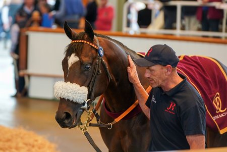 Lot 741, Jubilee Walk, a 3-year-old colt by Study of Man, sells to China Horse Club for 220,000gns at the Tattersalls July Sale