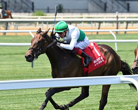 Mouffy crosses the line first in the Perfect Sting Stakes at Aqueduct Racetrack