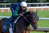 Chad Brown trained Sierra Leone has his final tune-up work this morning Sunday July, 21, 2024 at the Oklahoma Training Center track in preparation for the Jim Dandy Stakes which runs next Saturday at the Saratoga Race Course  in Saratoga Springs, N.Y.  Photo  by Skip Dickstein