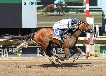 Book'em Danno Edges Little Ni in Jersey Shore - BloodHorse