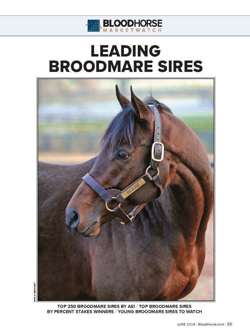 BloodHorse MarketWatch: Leading Broodmare Sires - BloodHorse