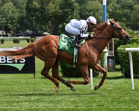 The Big Torpedo wins the New York Stallion Series Stakes Cab Calloway Division at Saratoga Race Course