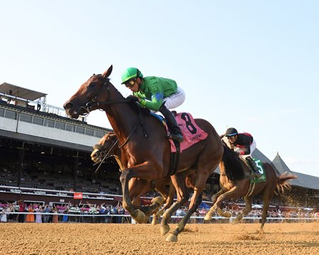 Mo Plex, by freshman stallion Complexity, wins the Sanford Stakes at Saratoga Race Course