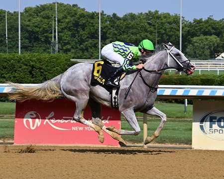 Next wins the 2024 Brooklyn Stakes at Aqueduct Racetrack