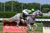 Next wins the 2024 Brooklyn Stakes at Aqueduct Racetrack